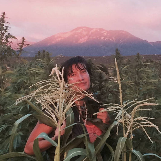 3 Ways Organic Hemp Flower CBD is different from Commercial CBD