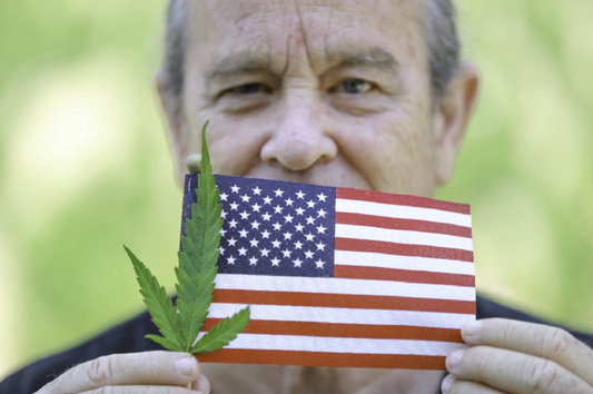 Hemp for Veterans