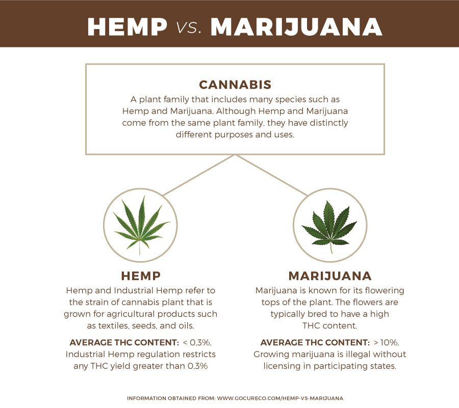 http://wumaniti.org/cdn/shop/articles/Hemp-vs-MJ.jpg?v=1613598312