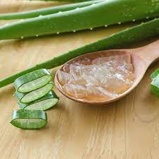 Aloe Vera for Hair: Say Aloe to Your New Beauty Buddy