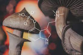 Psilocybin ‘Significantly’ Reduced Symptoms Of Major Depression After One Dose.