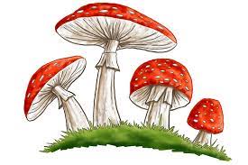 Psilocybin Treatment for Major Depression