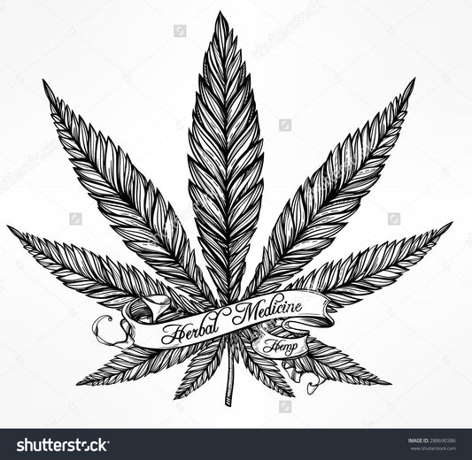 20 Health Benefits of Cannabis That Everyone Should Know By Tara Leo