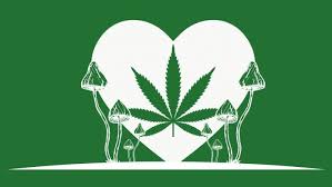Does CBD lessen the effects of THC?