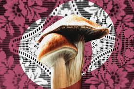 Mushroom Spores