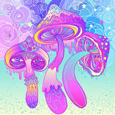Australia to allow magic mushrooms for limited medical use
