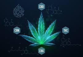 Benefits of Full-Spectrum CBD