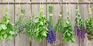 Storing Dried Herbs and Herbal Preparations for Freshness