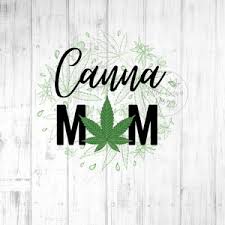 Large study finds canna-moms’ kids have normal brains.