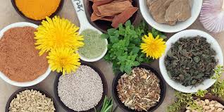 The Best Herbal Immune Stimulants for Cold & Flu