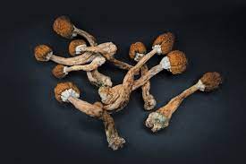 Psilocybin Could Be Powerful Treatments For Pain