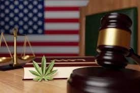 US Officially Recognizes Medical Use and Safety of Cannabis!