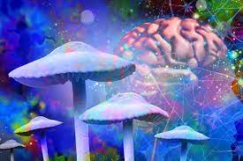 Psychedelic Drug Psilocybin Tamps Down Brain’s Ego Center