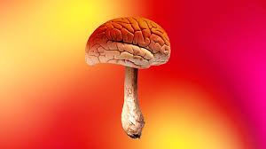 Are psychedelics going mainstream?