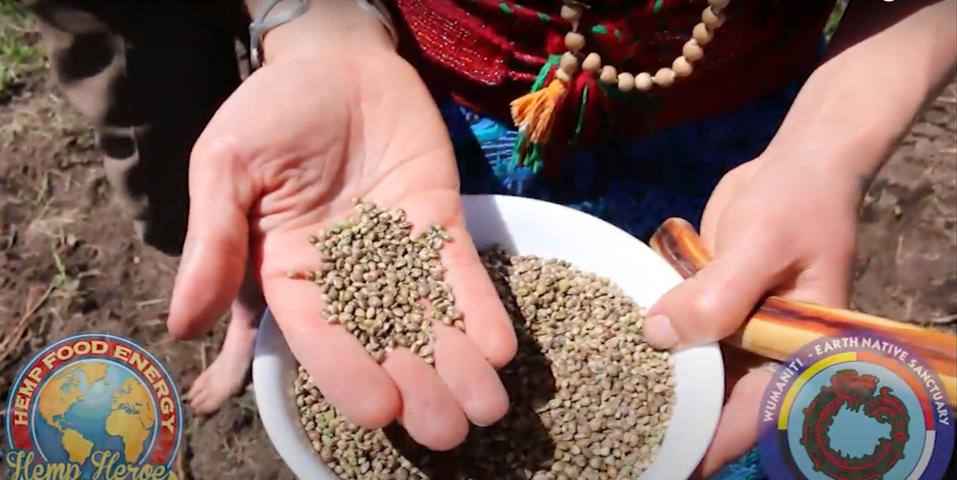 Load video: Wumaniti - Seed to Shelf